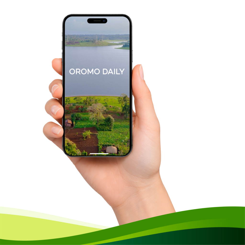 Phone Review